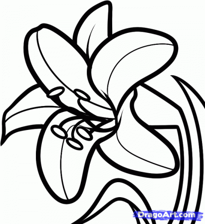 draw an easter lily - Clip Art Library