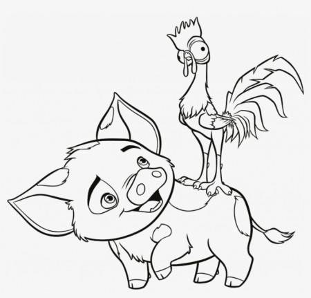 Pua And Hei Hei Coloring Page PNG Image | Transparent PNG Free Download on  SeekPNG