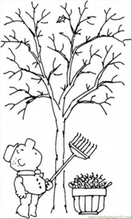 7 Pics of Bare Fall Tree Coloring Page - Bare Tree Coloring Page ...