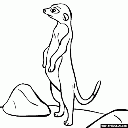 Meerkat Coloring Page