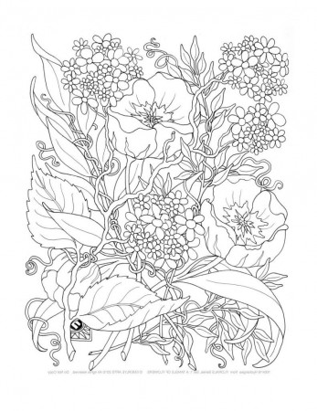 Free Printable Coloring Pages For Adults Only | Coloring Online