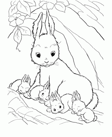 Farm Animal Coloring Pages | Printable Mother Rabbit Coloring Page 