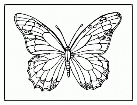 Coloring Pages Of Butterfly - Free Printable Coloring Pages | Free 