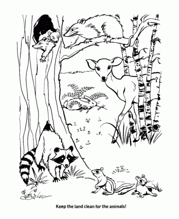 Earth Day Coloring Pages - Protect natural habitats - Conservation 