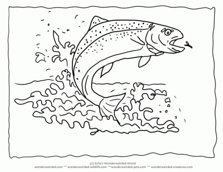 Rainbow Fish Coloring Page,Australian Rainbow Fish to Madagascar 