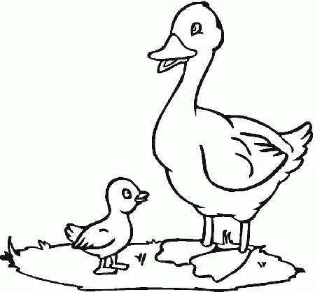 Coloring Pages Of Ducks