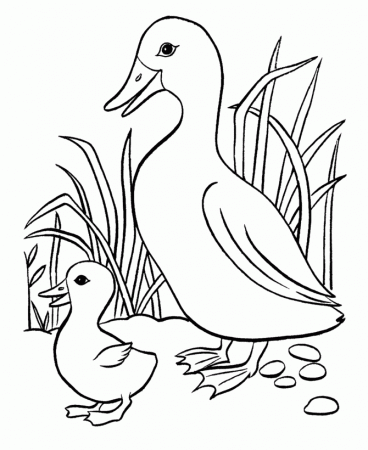 fruit bowl coloring page best pages picture