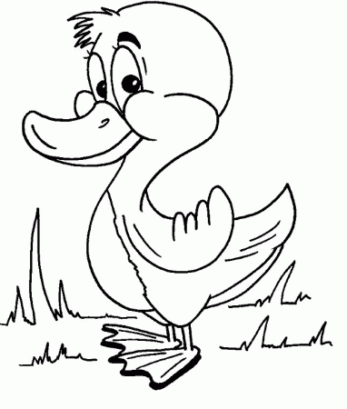 chicks and ducklings Colouring Pages