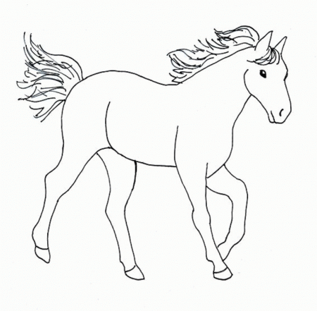 colorwithfun.com - Horse Color Pages Printable Pages