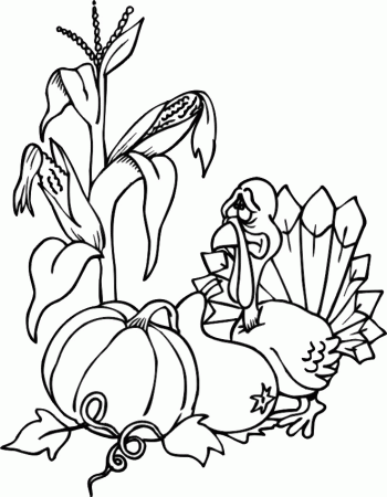 school bus safety coloring pages pictures imagixs