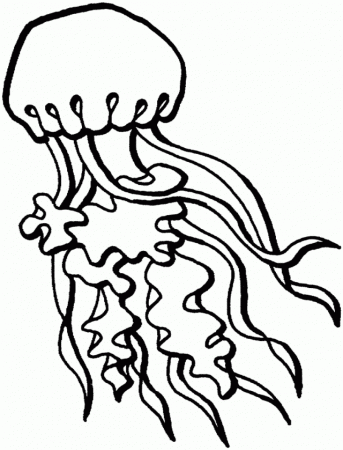 Jellyfish - Free Printable Coloring Pages