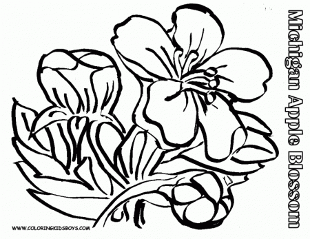 Indian Jasmine Flower Coloring Page Kids Coloring Pages 251941 