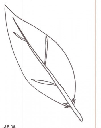 Coloring Pages For Turkey Feathers