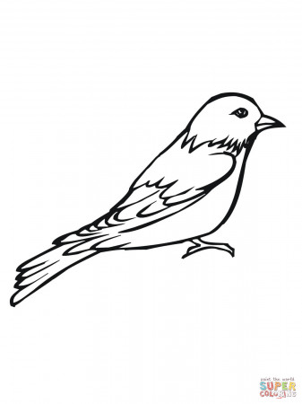 Painted Bunting coloring page | Free Printable Coloring Pages
