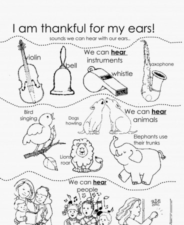 Ears Coloring Page