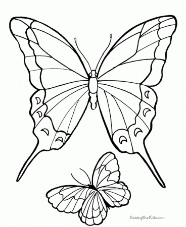 butterflies printables az coloring pages Butterflies Drawings For ...