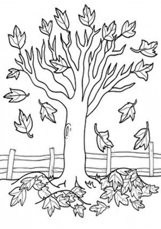 Free & Easy To Print Tree Coloring Pages - Tulamama