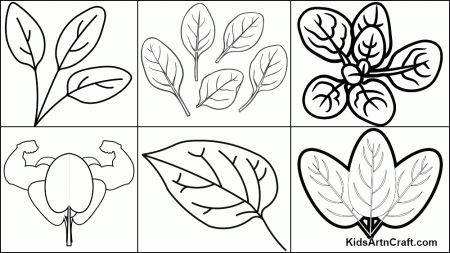 Spinach Coloring Pages For Kids – Free Printables - Kids Art & Craft