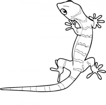 Desert Lizard Coloring Pages | Animal coloring pages, Cute lizard, Desert  lizards