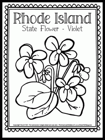 Rhode Island State Flower for Kids Coloring Pages - Rhode Island Coloring  Pages - Coloring Pages For Kids And Adults