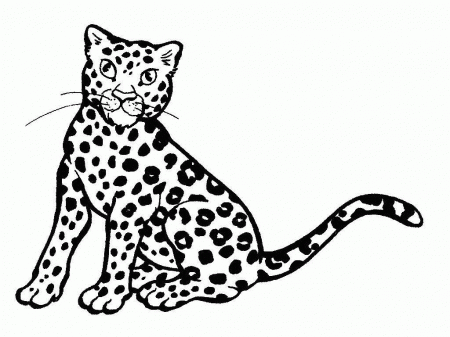 Cute Baby Cheetah Coloring Pages Real Cheetah Coloring Pages. Kids ...