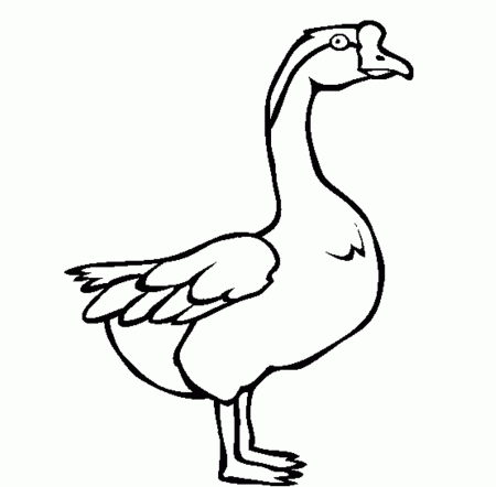 Swan Goose Printable Animal Coloring Pages | Animal Coloring pages ...