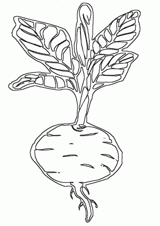 Beet coloring pages | Coloring pages to download and print