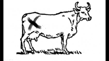 Coloring Pages For Clack Moo - Coloring