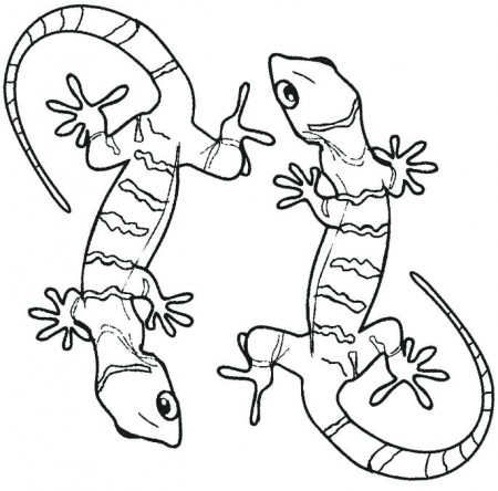Gecko Coloring Pages - Best Coloring Pages For Kids