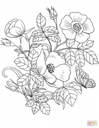 Spring Flowers Coloring Page Free Printable Pages Vase Hibiscus Floral  Hearts And Flower Mandala Easy Rose Book — oguchionyewu