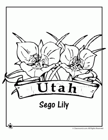 Utah State Flower Coloring Page | Woo! Jr. Kids Activities