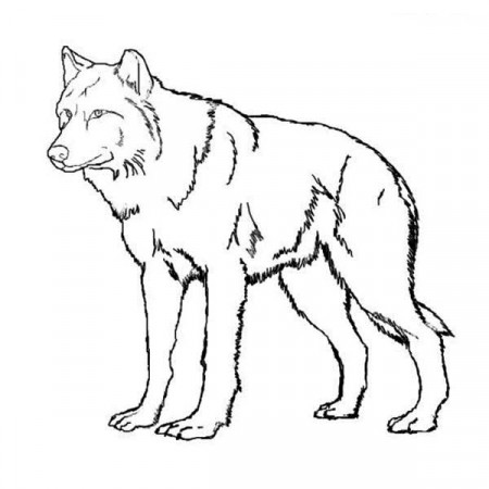 Square Grid Paper Wolf Coloring Pages To Print Out Bible Coloring Pages  Paul And Silas Free Disney Frozen Printable Coloring Pages interactive math  cool educational games fall addition worksheets fall addition worksheets
