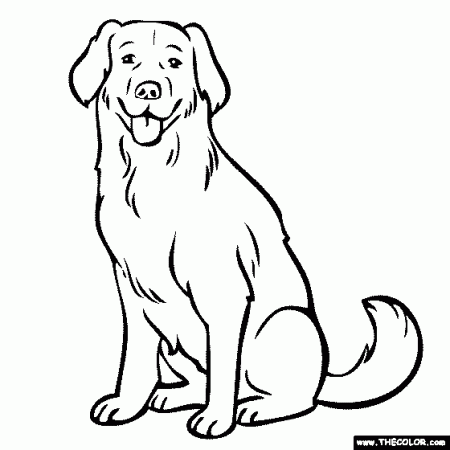 Labrador Coloring Page | Yellow Lab, Chocolate Lab | Dog coloring page, Dog  line art, Puppy coloring pages