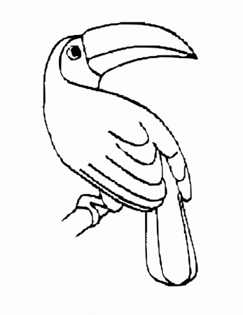 Free Toucan Coloring Pages, Download Free Clip Art, Free Clip Art ...