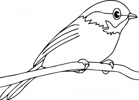 Robin Coloring Pages - Best Coloring Pages For Kids