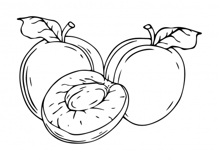 Pictures Nectarine Coloring Pages - Nectarine Coloring Pages - Coloring  Pages For Kids And Adults