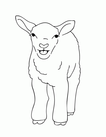 spring lamb Colouring Pages