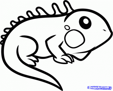Coloring Pages For Igloo 286265 Iguana Coloring Page