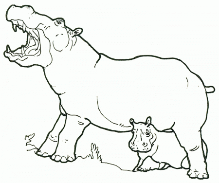 hippopotamus pictures | Coloring Picture HD For Kids | Fransus 