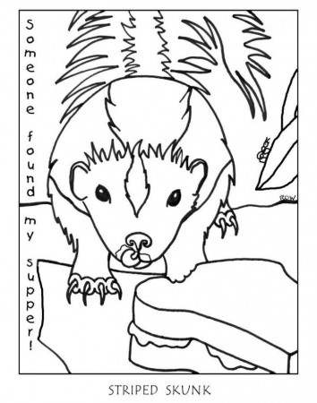 Skunk Coloring Page | Coloring Pages