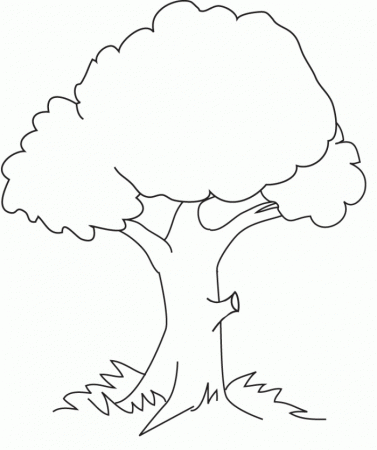 Old Tree Coloring For Kids - Tree Coloring Pages : Free Online 