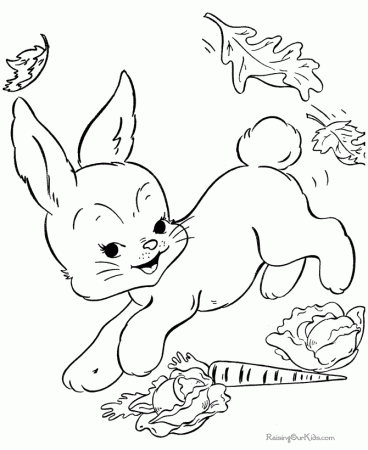 Bunny Coloring Pages To Print - Free Printable Coloring Pages 