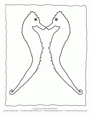 Seahorse Outline, Free Seahorse Coloring Pages & Seahorse Templates