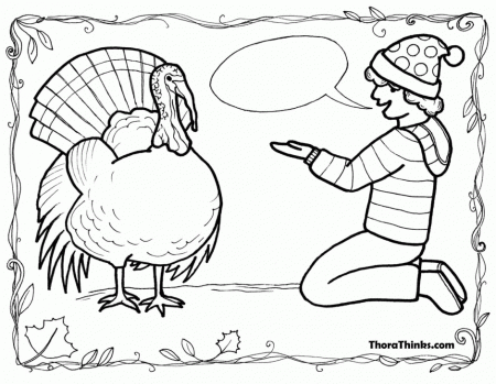 Turkey Feather Coloring Page : Turkey Feathers Colouring Pages 