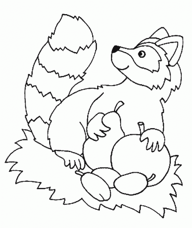 Raccoons coloring pages