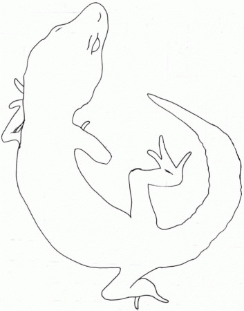 Gecko Coloring Page Kids | 99coloring.com