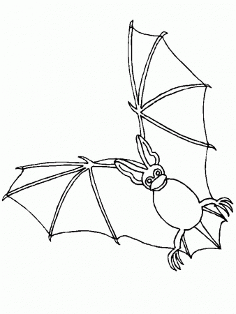 Coloring Page - Bat coloring pages 5
