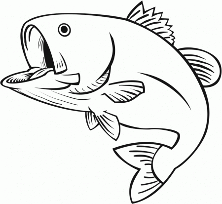 Line Drawings Of Fish