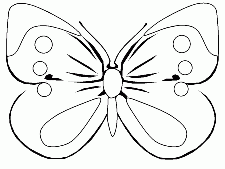 Butterflies K8 Animals Coloring Pages & Coloring Book