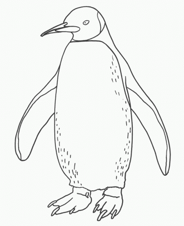 Penguin Coloring Pages